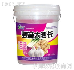 ��ԣ����-��������L(zh��ng)