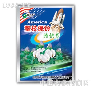 ��ԣ����-��֦����ؿ�̖