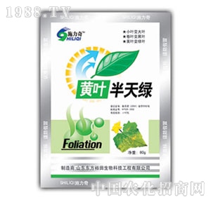 ��ԣ����-�S�~����G