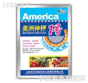 ��ԣ����-�������1̖