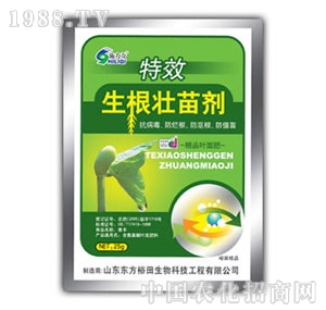 ��ԣ����-�������焩