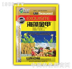 ��ԣ����-������