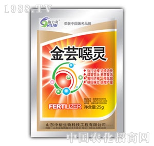 ��ԣ����-���|���`