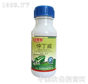 ِ��-���ﾯ��