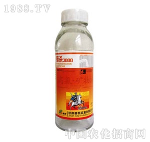 ِ��-�C��3000