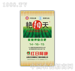 �t�հ���-�G�������⛏ͺϷ�