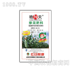 �t�հ���-�G���20-10-10�������