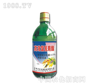 �f�S����-�������