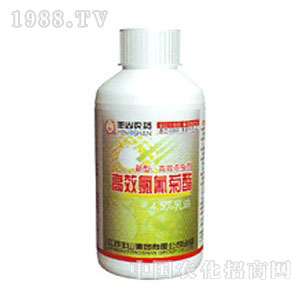 �Sɽ-�������