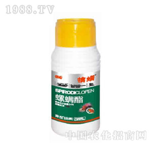 ���r(n��ng)�r(n��ng)��-������