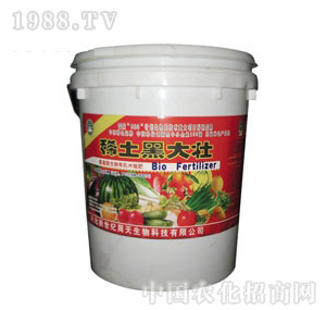 ����-ϡ���ڴ��