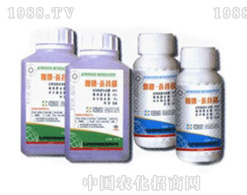 ����-��ບ�����