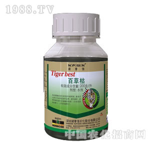 �Z����-��ݻ�