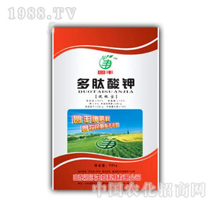 �A�S-�������