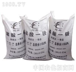 ������-����һ�@