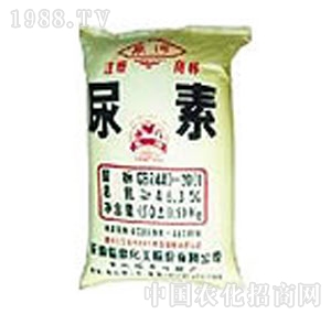 ���ܻ���-����