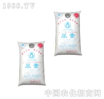 ���S����-����