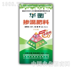 �A��-48%�������