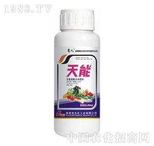 ���ʿ�-����