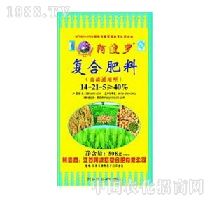 �����_-�����͏�(f��)�Ϸ�