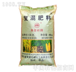 �S���X-30%��(f��)�����