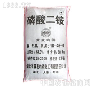 �S���X-������@50kg