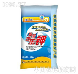 ����Ԫ-����ɘ��