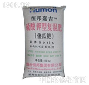 ����-������͏�(f��)���