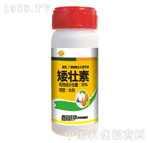 �f���޻�-������