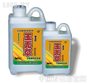 ��̩-��o��