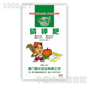 �B�����F-��⛷�