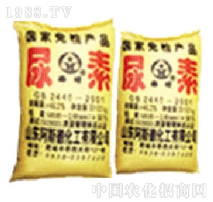 ��˹��-����