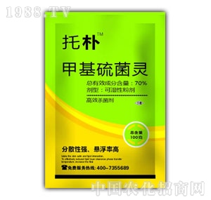 �㽭��¡-�И�