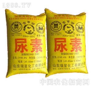 ���Ǽ��F-����