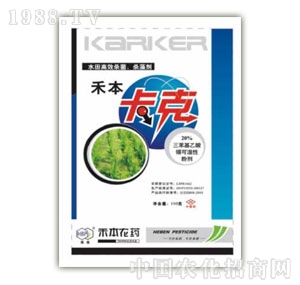 �̱��Ƽ�-����20%�ɝ��Էۄ�