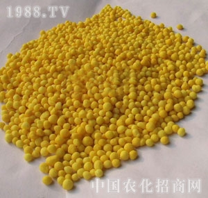 ��ˮ��-���������