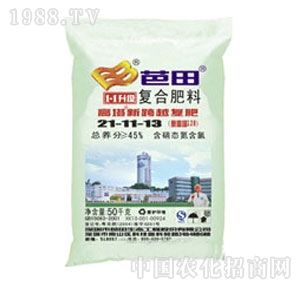 ����-��(f��)�Ϸ�