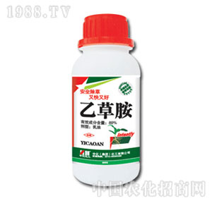 �л�����-89%�Ҳݰ�