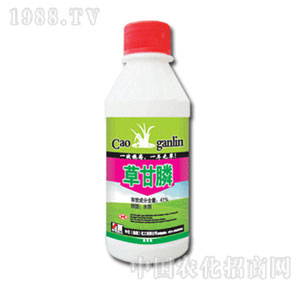 �л�����-41%�ݸ��