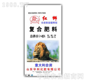 ��������-�LЧ���ܾ����24-16-16