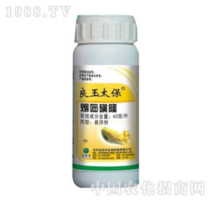 �Gɫ�r(n��ng)�A-����̫��