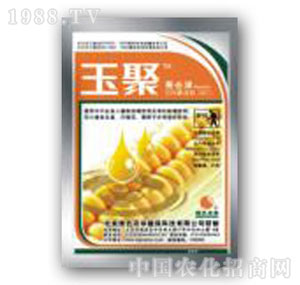 �Gɫ�r(n��ng)�A-���������՚�