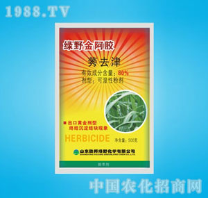 �ٰ�-80%���z