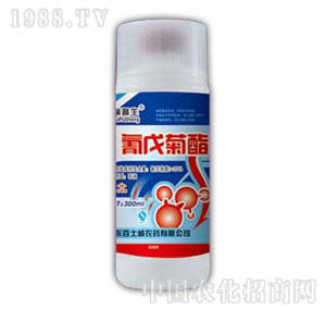 ������-�������