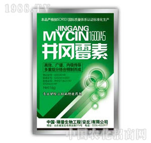 ������-����ù��