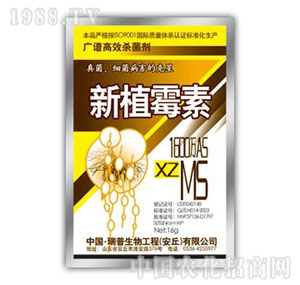 ������-��ֲù��