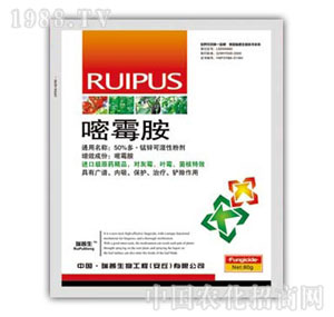 ������-��ù��