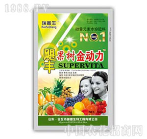 ������-�������(d��ng)��