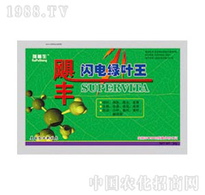 ������-�W늾G�~��