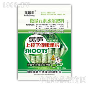 ������-�n�S�Ͽ��´��۴��L(zh��ng)